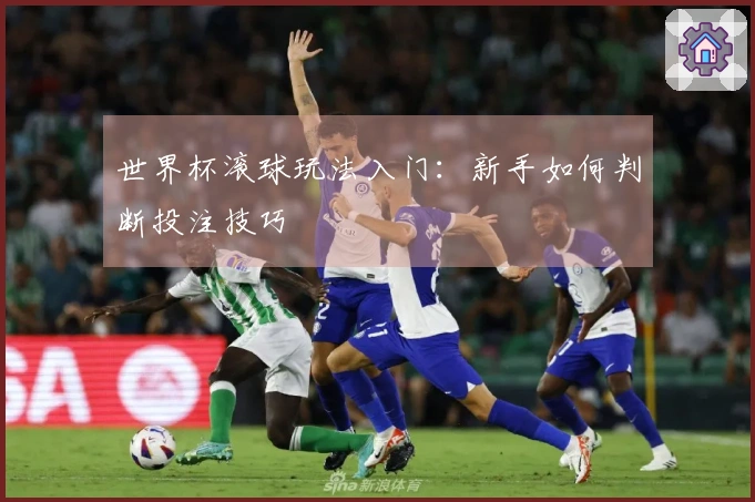 世界杯滚球玩法入门：新手如何判断投注技巧