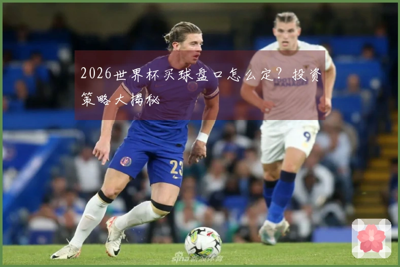 2026世界杯买球盘口怎么定？投资策略大揭秘