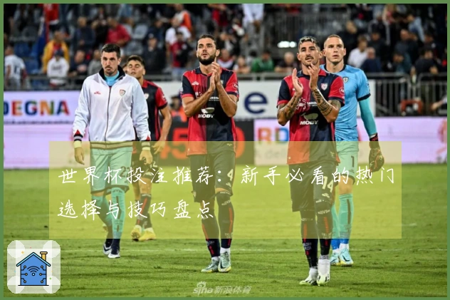 世界杯投注推荐：新手必看的热门选择与技巧盘点