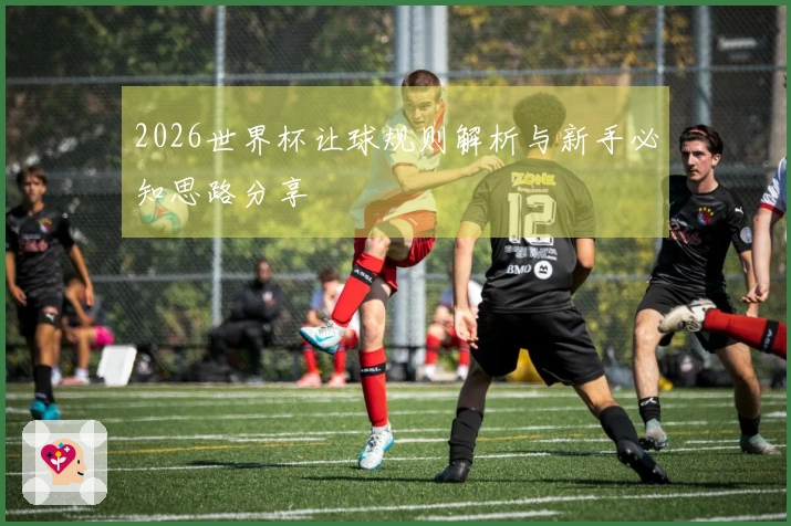 2026世界杯让球规则解析与新手必知思路分享