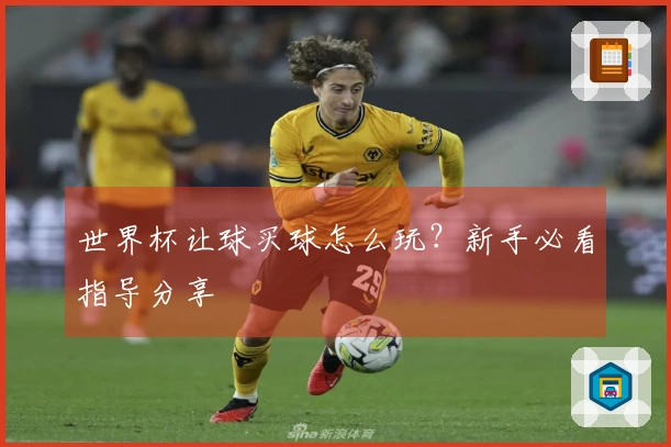 世界杯让球买球怎么玩？新手必看指导分享